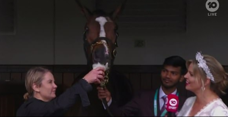 Wendy Roche is seen holding a cup containing the alcohol to Nettoyer’s nose, prompting her to lap up the liquid with her tongue. Source: Channel 10