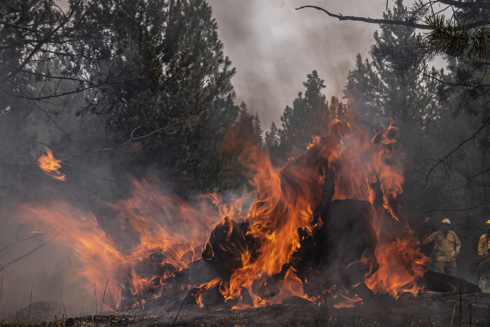 Firefighters watch as a log burns near a containment line on the Northwest edge of the Bootleg Fire on Friday, July 23, 2021, near Paisley, Ore. (AP Photo/Nathan Howard)