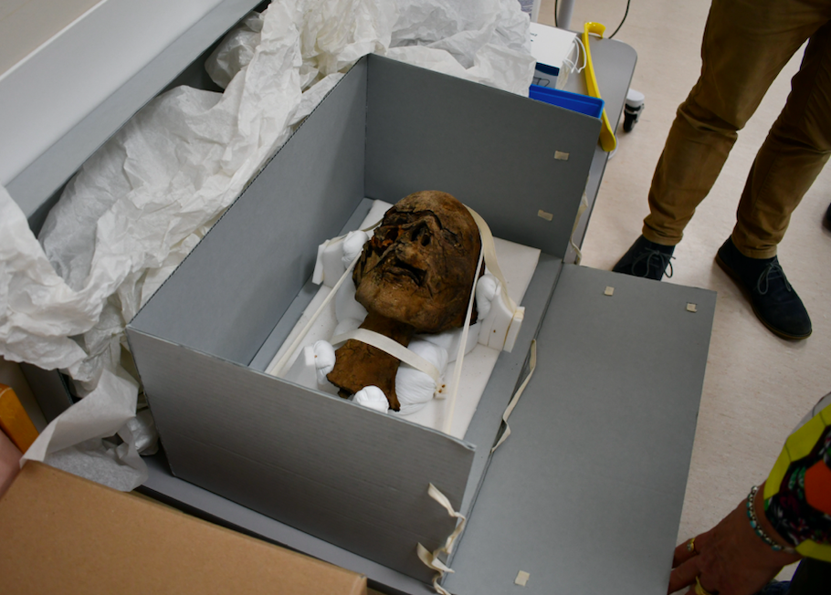 A decapitated mummy head belonged to a woman, scientists have concluded. (SWNS)