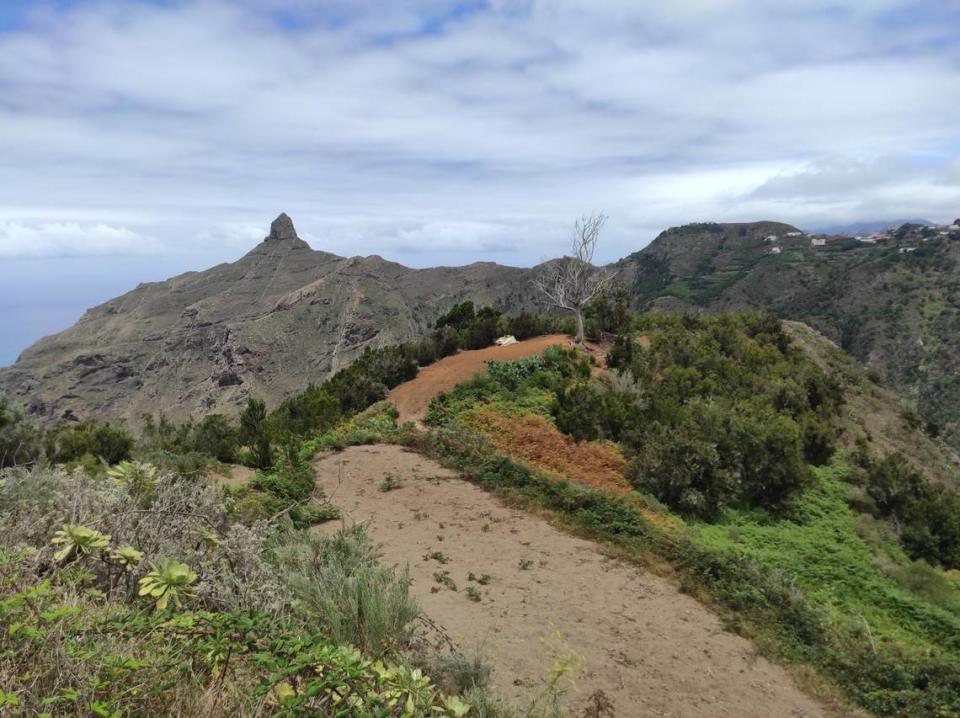 Vista del Parque de Anaga al noreste de Tenerife desde uno de sus miradores hacia el Atlántico.