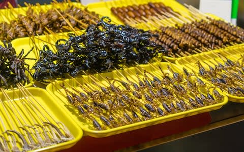 Fried scorpion at a street food stall in Beijing - Credit: iStock