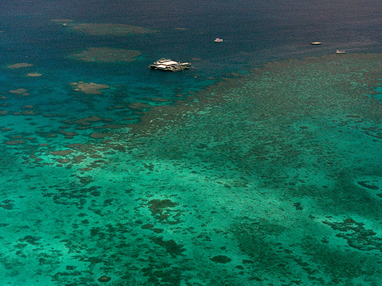 <p>The Agincourt Reef, located about 30 miles off the coast near the northern reaches of the 1,200-mile long Great Barrier Reef which is under increased threat from climate change</p> (AP)