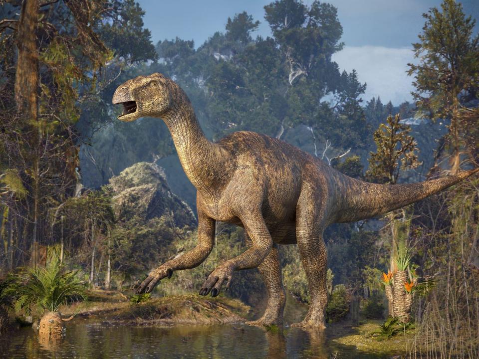 A 3D artist's impression of an iguanodon roaming the jungle is shown.