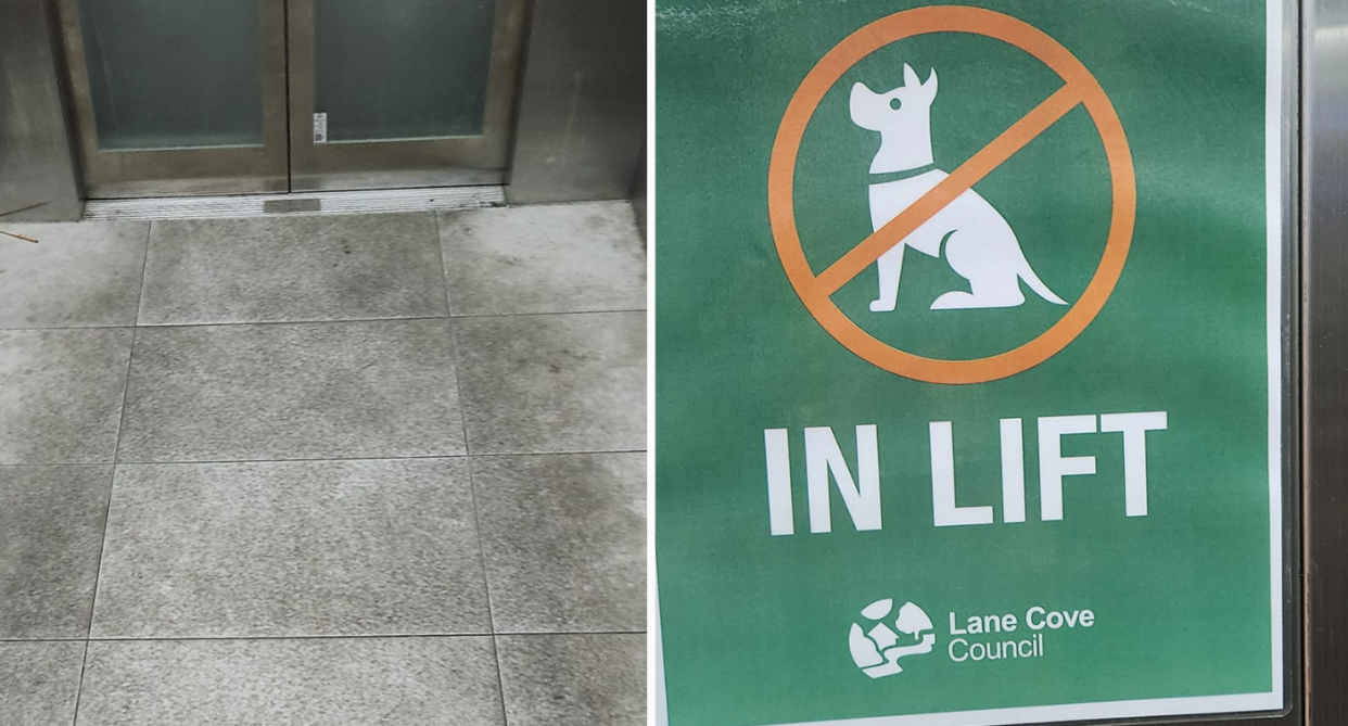 The lifts at Mall 88 in St Leonards, beside a sign banning dogs. 
