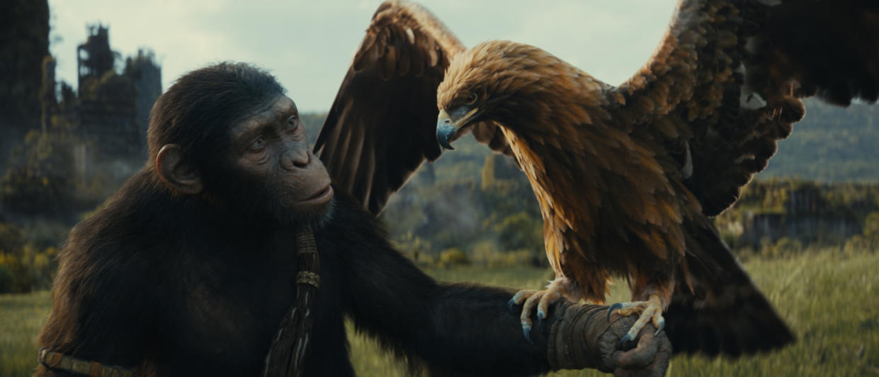  Noa (played by Owen Teague) with an eagle in Kingdom Of The Planet Of The Apes. 