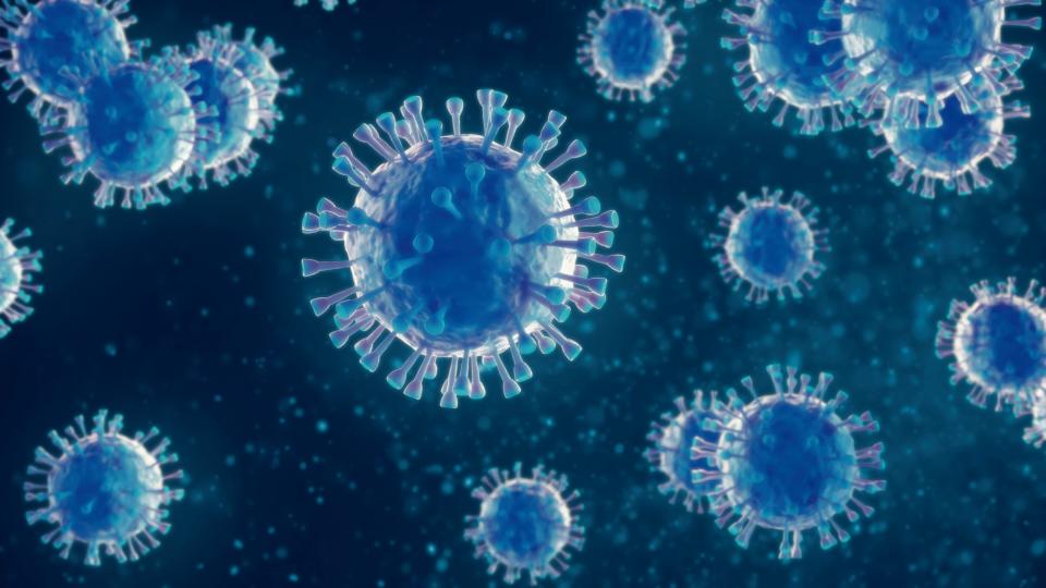 A close-up illustration of the measles virus