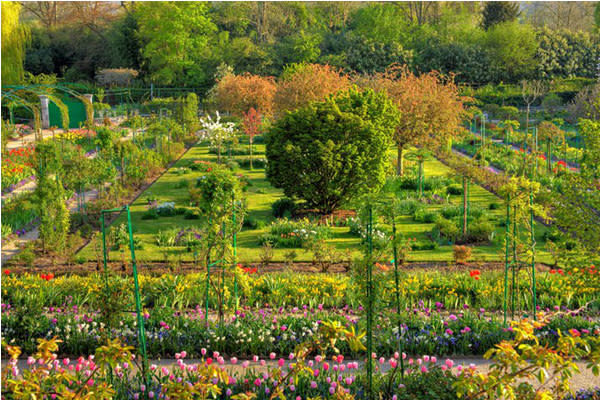 莫內花園裡有著各式各樣的繽紛花卉。（圖片來源／Fondation Claude Monet à Giverny）