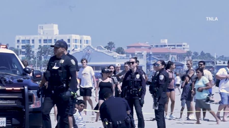 Five people were arrested after a large brawl left one person stabbed and another injured on the beach near the Santa Monica Pier on June 29, 2024. (TNLA)