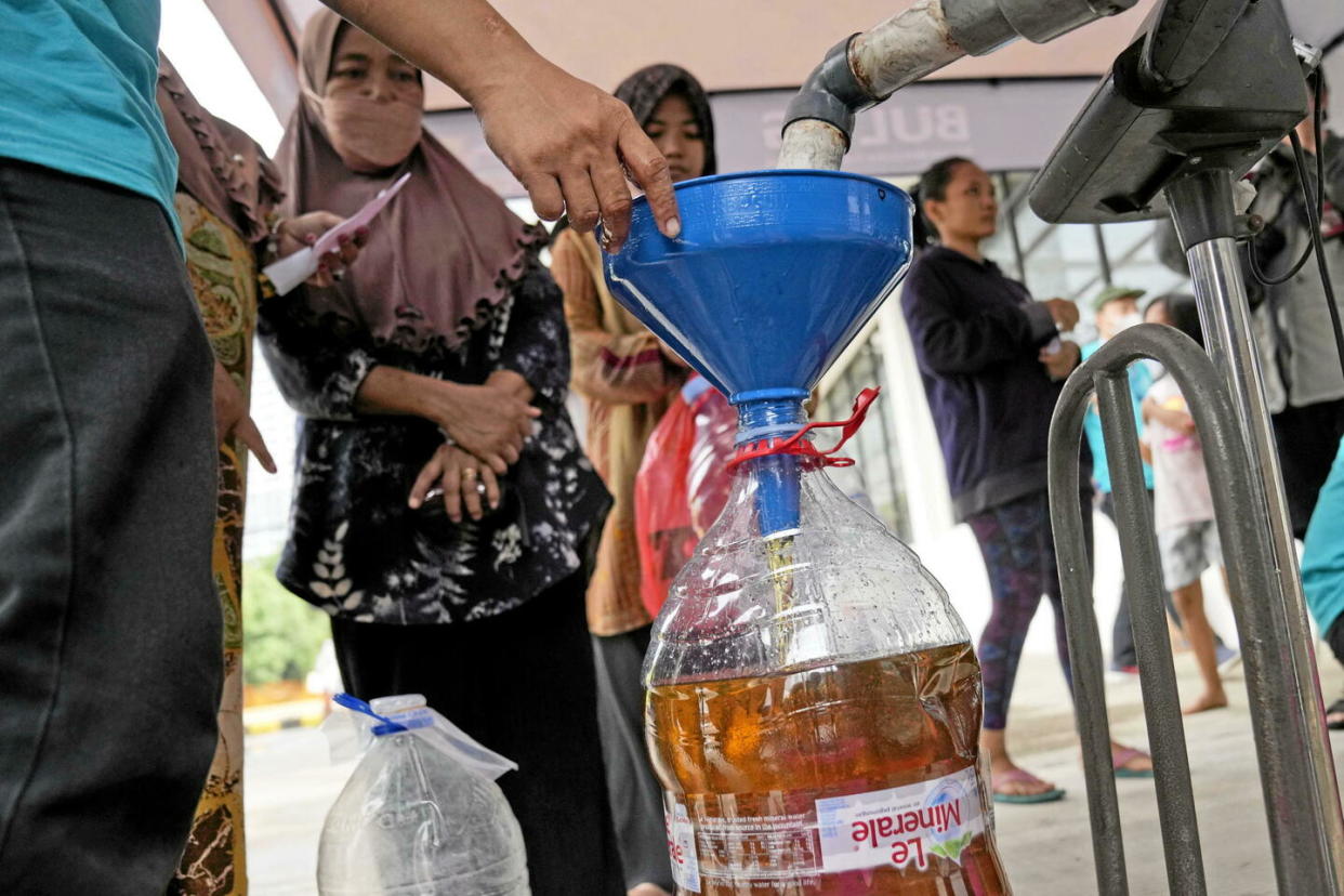 De l'huile de palme usagée et récoltée en Indonésie pour être réutilisée, notamment comme carburant.  - Credit:Dita Alangkara/AP/SIPA