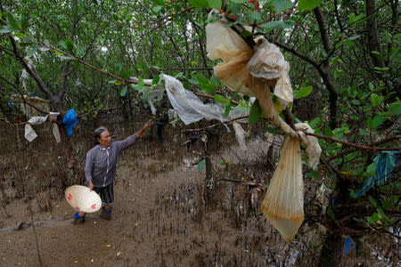 FILE PHOTO: A woman removes plastic waste stuck in tree branches near the beach in Thanh Hoa province, Vietnam, June 4, 2018. REUTERS/Nguyen Huy Kham/File Photo