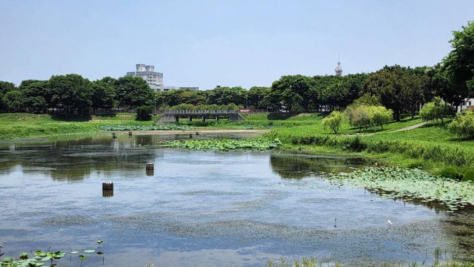 (記者陸瓊娟攝)