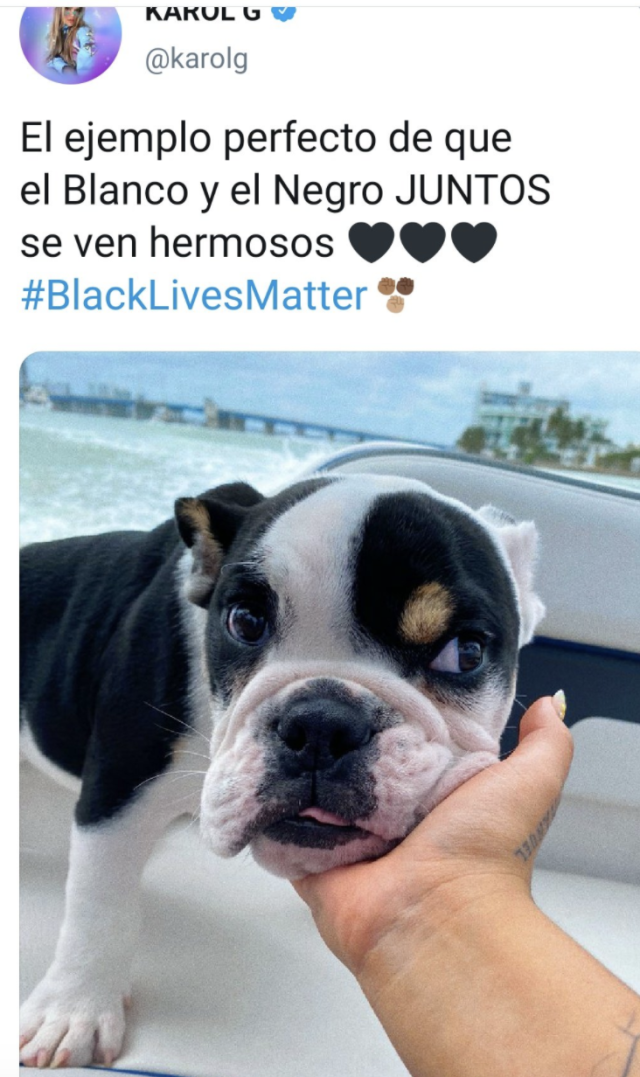 Karol G apologizes for using her black-and-white dog to promote Black Lives  Matter tweet