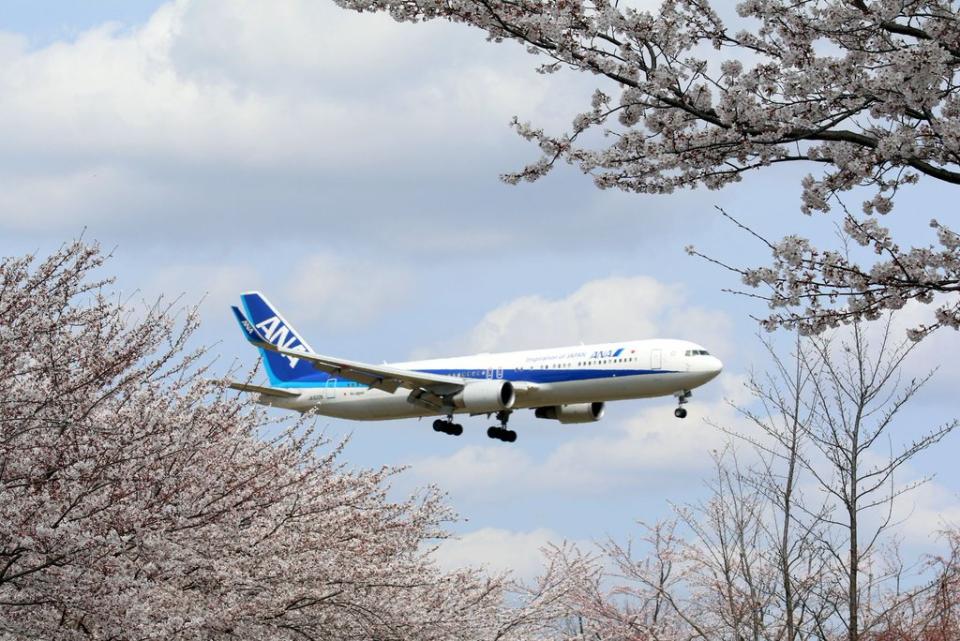 台北航空站今天證實，日本全日空已通知8月3日恢復日本羽田機場往返台北松山機場，每週2班。全日空網站也顯示，8月3日起，開放羽田往返松山機場的訂位。(圖取自ANA全球臉書)