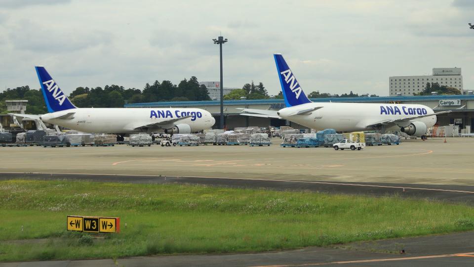 Blue-tailed ANA cargo jets at an airport cargo terminal.