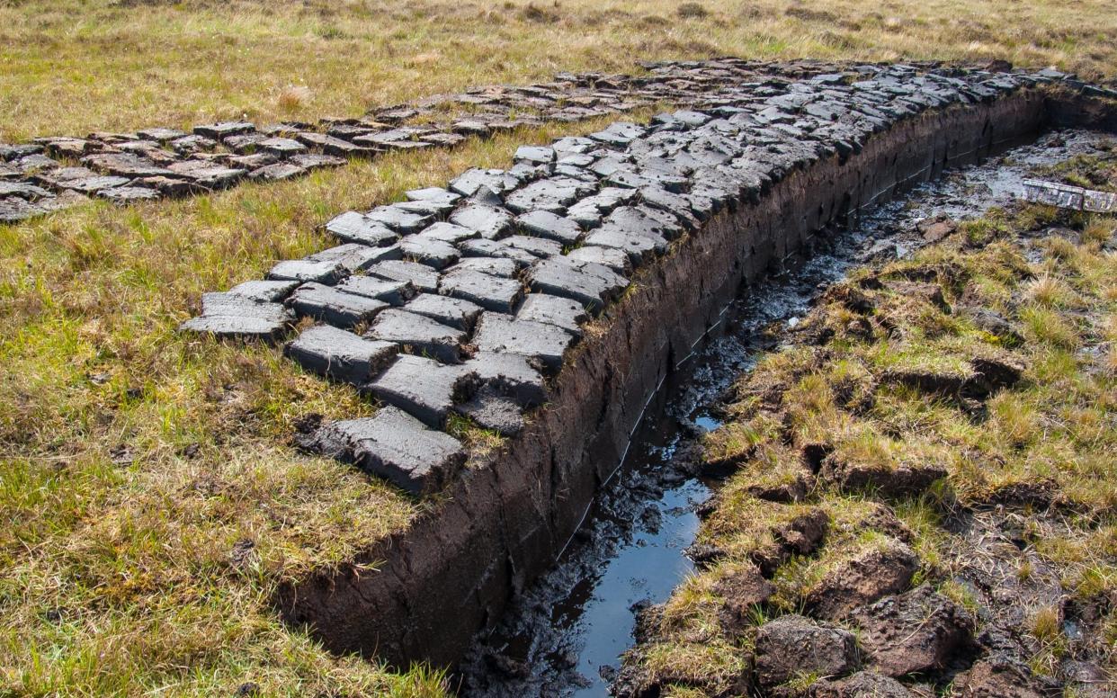 Peat turf cut and left to dry on a wetland in the Scottish Highlands