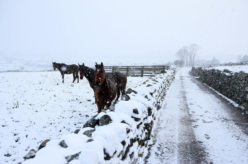 In pictures: Snow blankets Britain