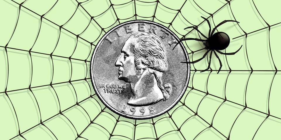 An illustration of an American quarter coin in a spiderweb.