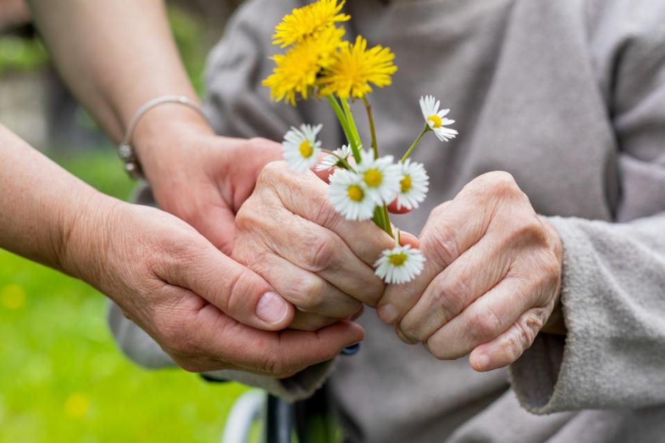 The researchers think this could eventually make diseases like Alzheimer’s less common. Ocskay Mark – stock.adobe.com