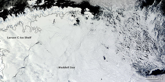 Sea ice is pushing farther north than usual this year in parts of Antarctica, as shown in this Feb. 22 satellite image from NASA's Terra satellite.