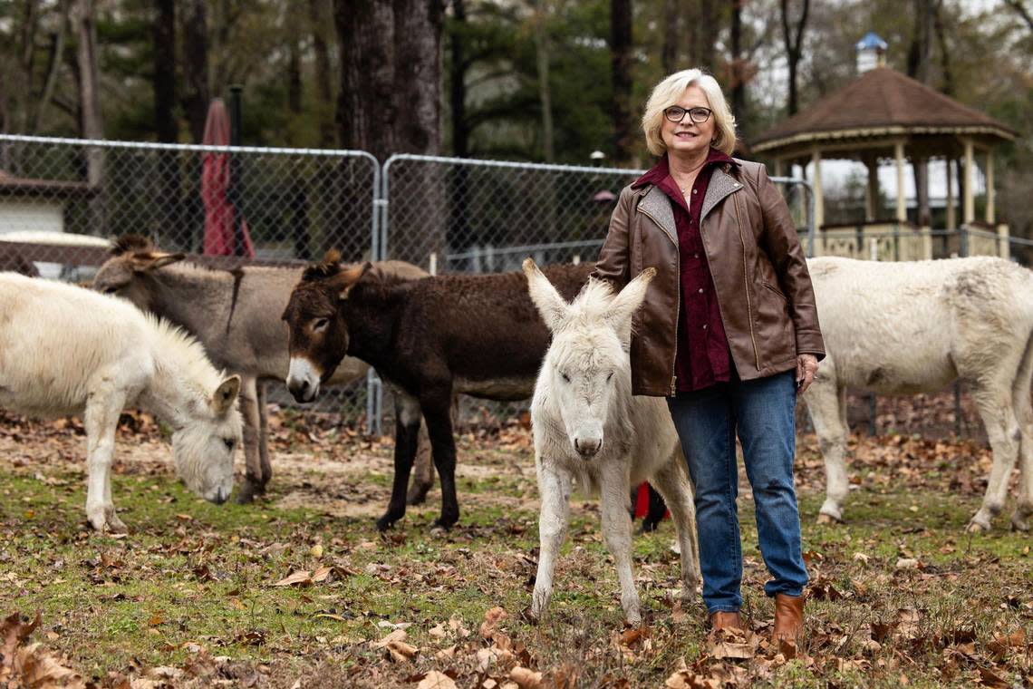 State Senator Katrina Shealy posses for a portrait with her pet donkeys at her home in Lexington County on Thursday, December 22, 2022. Shealy originally started raising donkeys to help protect her cows, but now keeps them as pets.