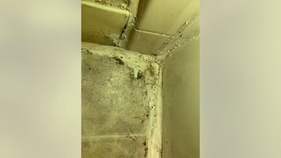 <div>A tenant at 434 Leavenworth Street in San Francisco complained of mold.</div> <strong>(Housing Rights Committee of San Francisco)</strong>