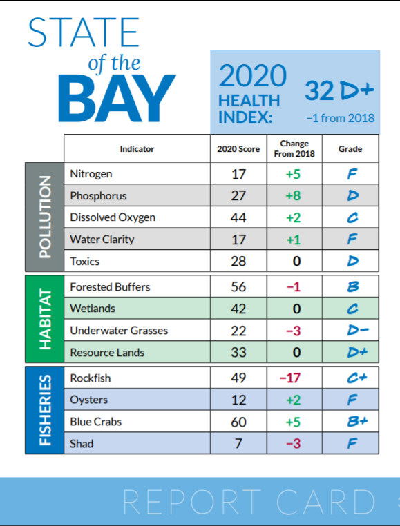 Established in 1998, CBF’s State of the Bay Report is a comprehensive measure of the Bay's health. CBF scientists compile and examine monitoring data and field observations for 13 indicators in three categories: pollution, habitat, and fisheries. CBF scientists assign each indicator an index score from 1–100. Taken together, these indicators offer an overall assessment of Bay health.