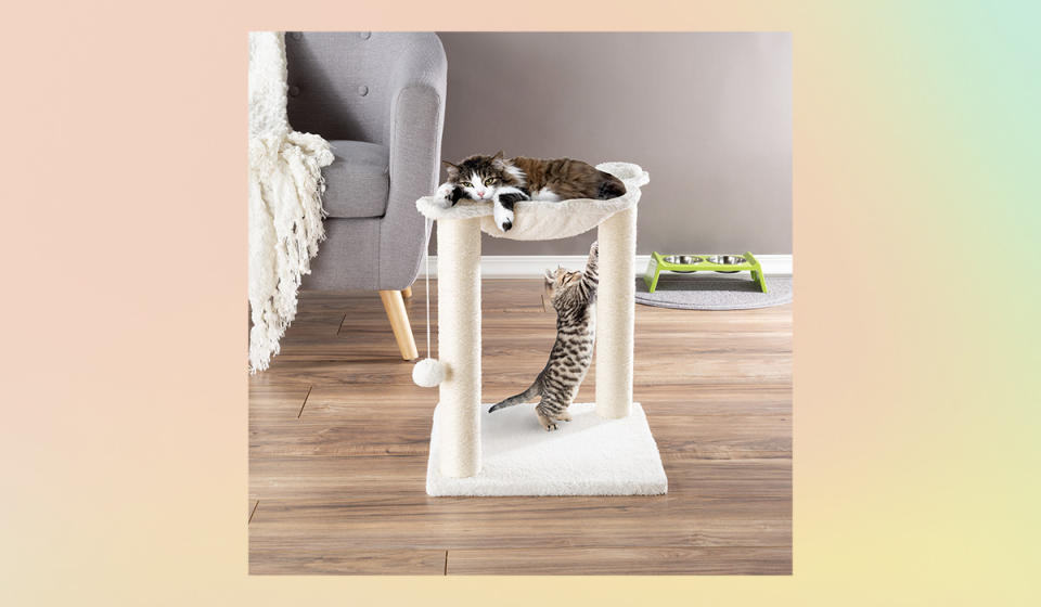 A cat tree for Her Majesty's many (okay, two) moods: the bottom level for when she's ignoring you; the top for when she's judging you.  (Photo: Walmart)