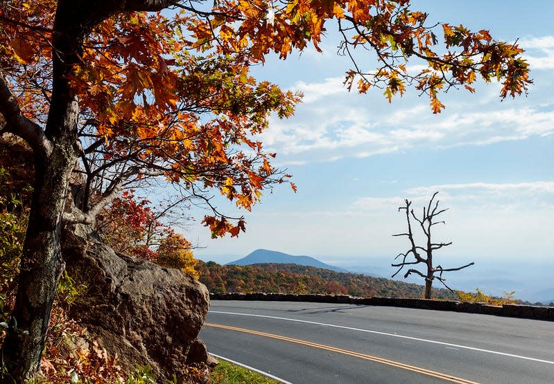 Skyline Drive takes park goers through the stunning foliage of the park.