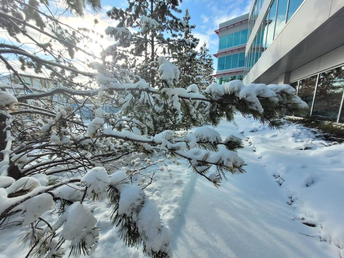 Calgary received up to 14 centimeters of snow in some areas since Thursday night, a city spokesperson said Saturday.   (Jade Markus/CBC - image credit)