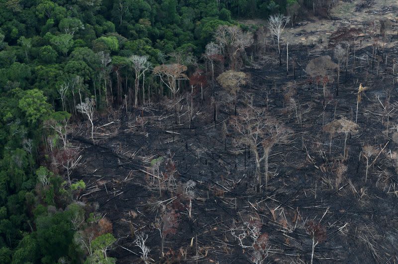 FILE PHOTO: An aerial view of a tract of Amazon jungle after it was cleared by farmers in Itaituba