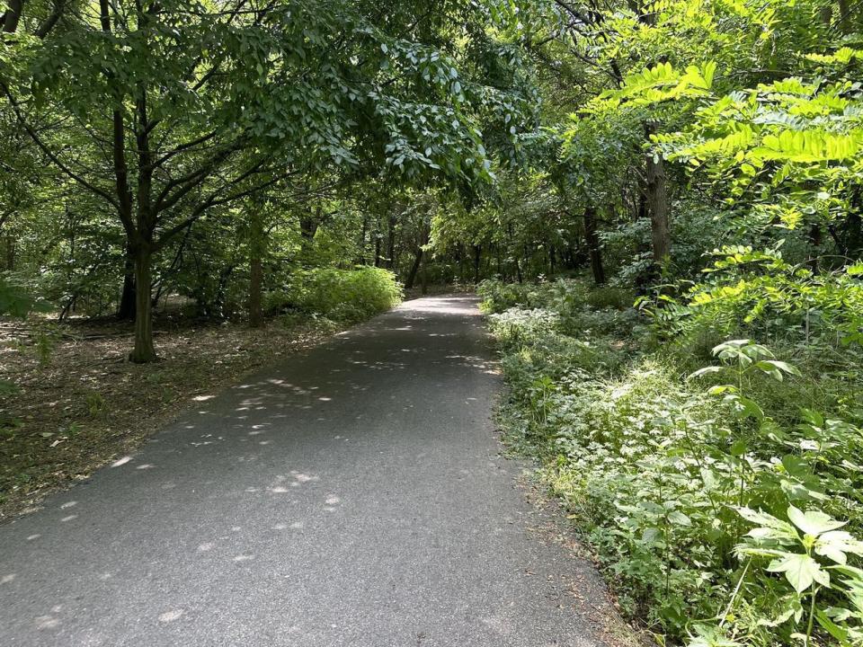 在皇后區凱辛納公園最近發生了一起震驚社區的少女性侵事件之後，眾多居民指出這不是首次發生類似事件，過去有多起少女在此經歷了恐怖的侵犯。圖為事發地。(記者高雲兒／攝影)