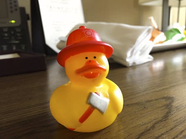 fire-duck-photo.jpg 33423