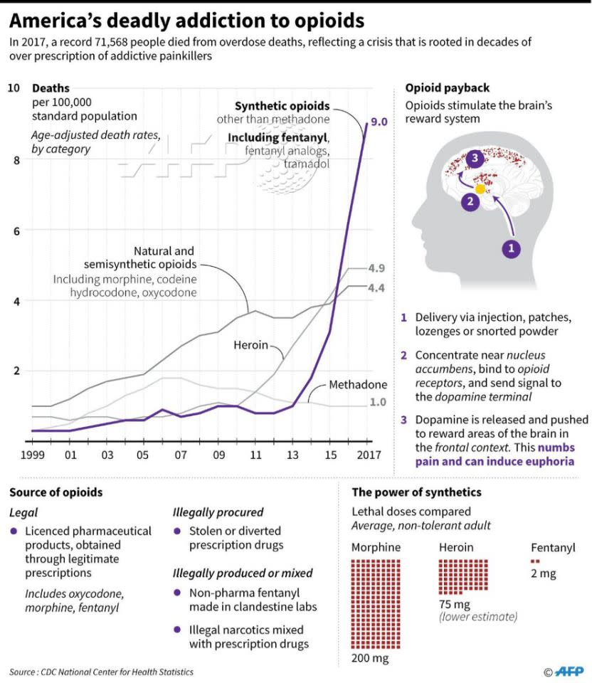 Un buen número de factores han llevado a una crisis de los opioides en toda regla en los Estados Unidos (Gráfico: AFP).