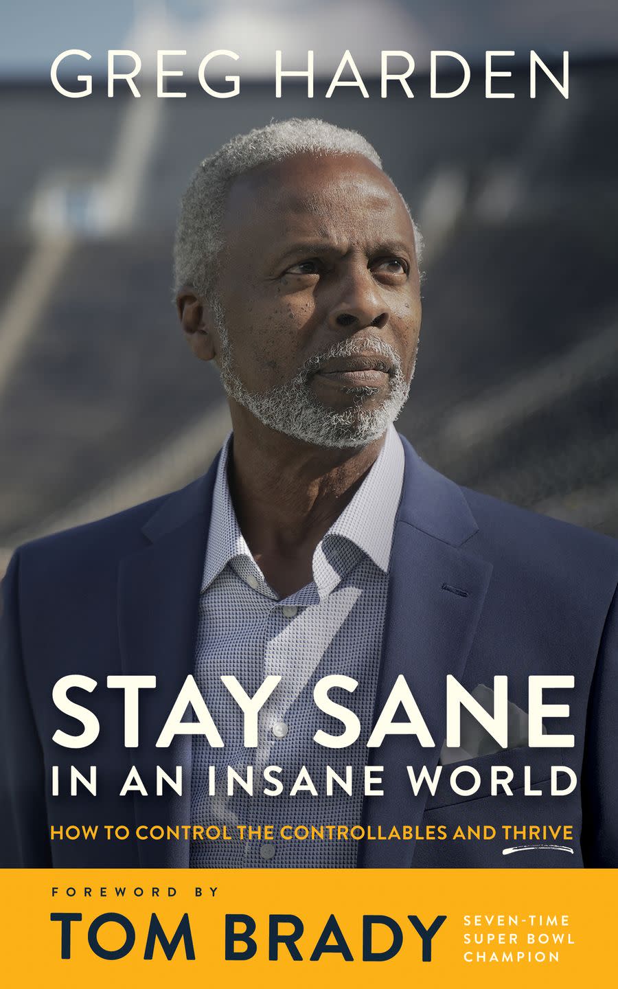 book cover of stay sane in an insane world by greg harden