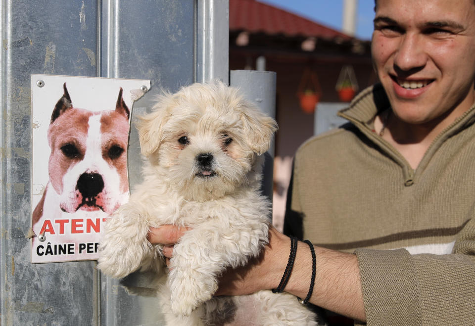 In this picture taken Wednesday, May 22, 2019, Liviu Alexandru Iorga holds puppy Cora as he stands next to a dangerous dog sign outside his home in Luncavita, Romania. The Romania village of Luncavita has benefited greatly from millions in development funds from the European Union, but few of its residents bothered to vote in previous European Parliamentary elections. (AP Photo/Vadim Ghirda)