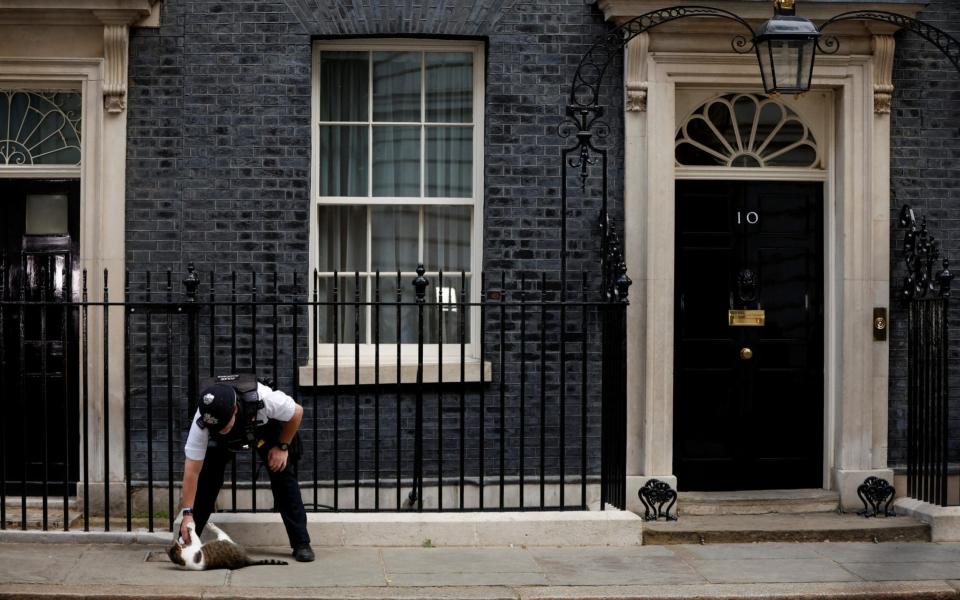 A police officer strokes Larry the cat outside 10 Downing Street today - John Sibley /Reuters