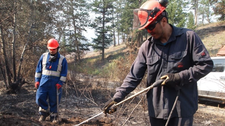 When wildfires emptied the area west of Williams Lake, B.C., they stayed behind