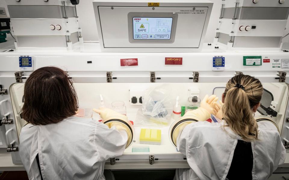 UKHSA scientists work in a lab at Porton Down