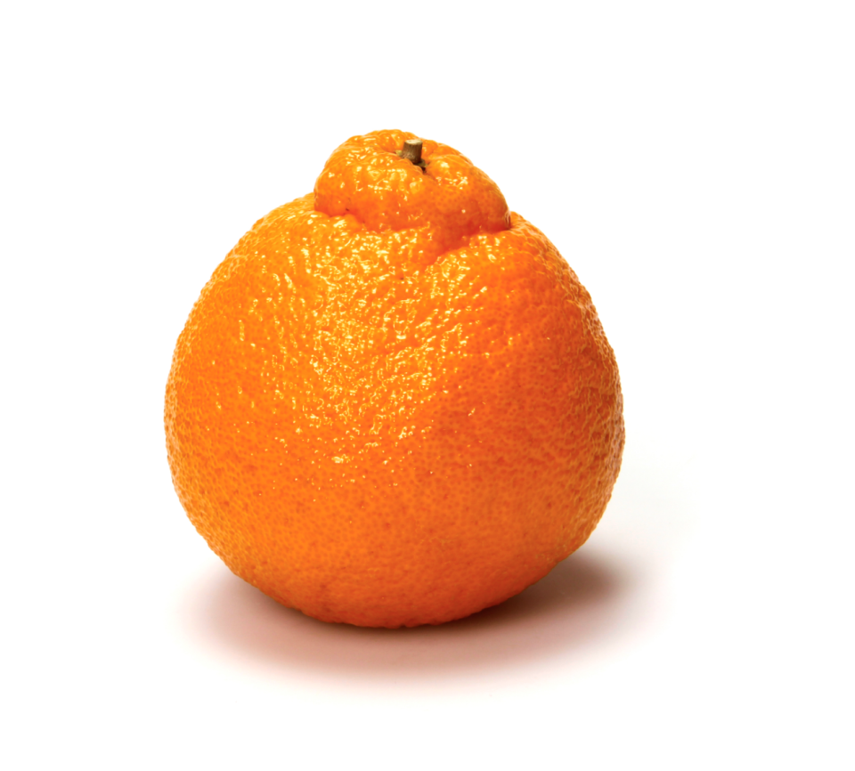 Sumo Mandarin Tangerines