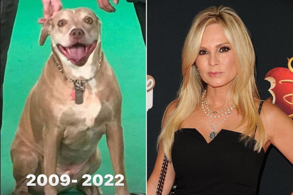 Tamra Judge Says Goodbye to Dog Bronx: 'Thank You for the 13 Years'