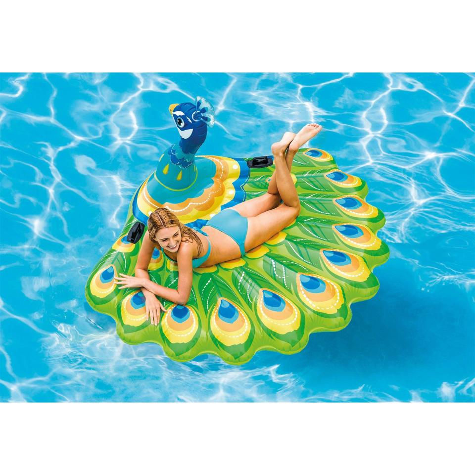 Peacock Float