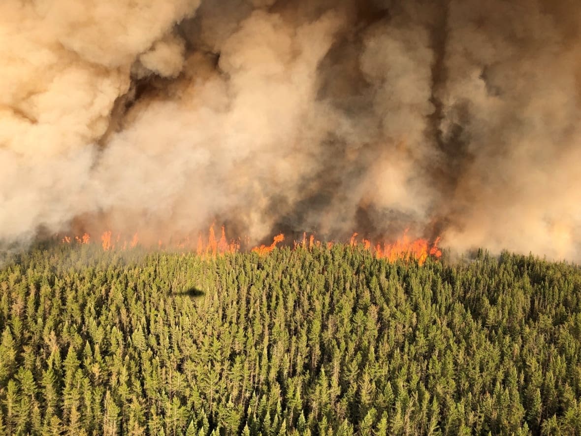 The ways in which climate change is affecting more aspects of lives, from forest fires like this one in Ontario in 2021, is also taking a toll on our mental health, researchers say.  (Ministry of Northern Development, Mines, Natural Resources and Forestry/Provided - image credit)