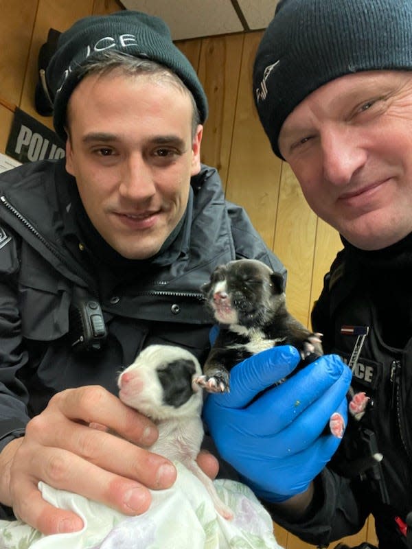 New York Mills police Officer Michael Firley and Yorkville police Officer Pelesic hold two newborn puppies found abandoned in a shoebox early Thanksgiving morning. Police were able to reunite the puppies with their mother and are investigating whether any charges are applicable against the owner.