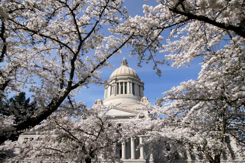 The Washington Capitol is seen through cherry blossoms in Olympia, Wash., April 1, 2019. (AP Photo/Rachel La Corte)