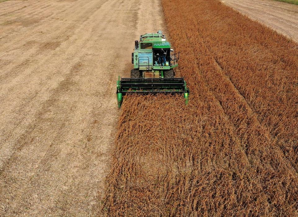 Farmer Mark Catterton drives a John Deere Harvester while harvesting soybeans during his fall harvest on October 19, 2018 in Owings, Maryland.