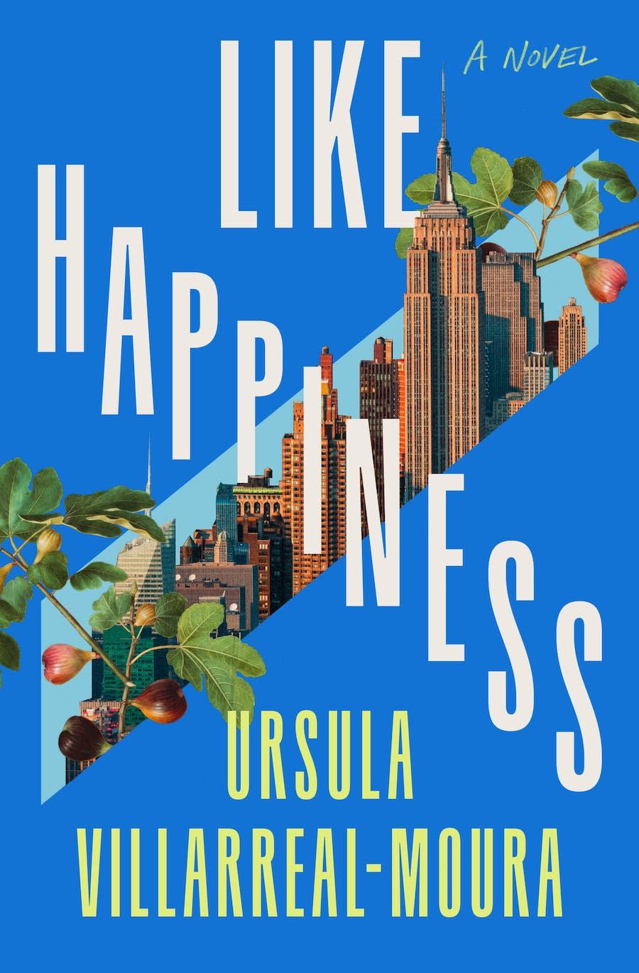 <p><a href="https://go.redirectingat.com?id=74968X1596630&url=https%3A%2F%2Fbookshop.org%2Fp%2Fbooks%2Flike-happiness-ursula-villarreal-moura%2F20001594&sref=https%3A%2F%2Fwww.elle.com%2Fculture%2Fbooks%2Fg46306627%2Fbest-fiction-books-2024%2F" rel="nofollow noopener" target="_blank" data-ylk="slk:Shop Now;elm:context_link;itc:0;sec:content-canvas" class="link ">Shop Now</a></p><p><i>Like Happiness</i> by Ursula Villarreal-Moura</p><p>bookshop.org</p><p>$26.04</p><span class="copyright">Celadon Books</span>