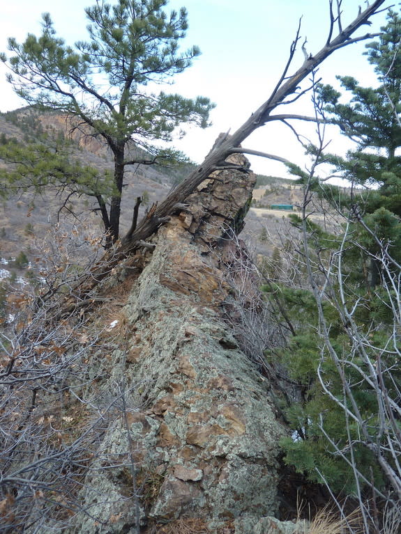 The Tava sandstone, shown here, is likely between 680 million and 800 million years old, a new study finds.