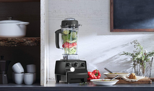 $250 Vitamix ONE versus $100 NutriBullet Pro Review