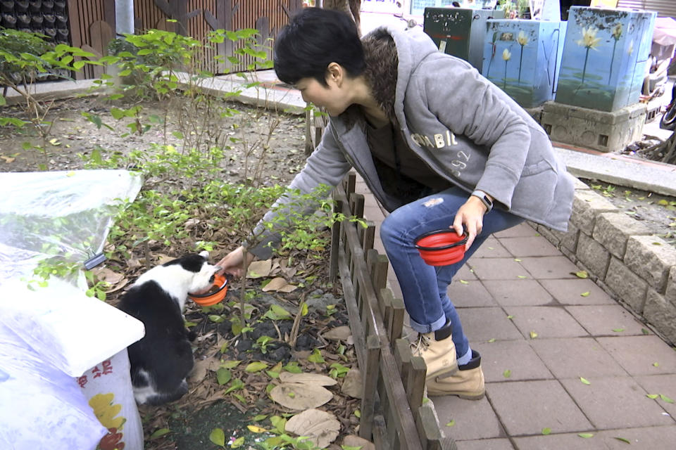 In this image from video, Taiwanese math teacher Hung Pei-ling prepares to feed a stray cat in Taipei, Taiwan, on Dec 20, 2020. Stray cats in Taipei recently got an upgrade in their dining situation with a "Midnight Cafeteria." Launched in September, the “cafeteria” is actually 45 small wooden houses painted by Taiwanese artists and scattered across Taipei. The idea is to give the cats a place to rest while making feeding them less messy. (AP Photo/Huizhong Wu)