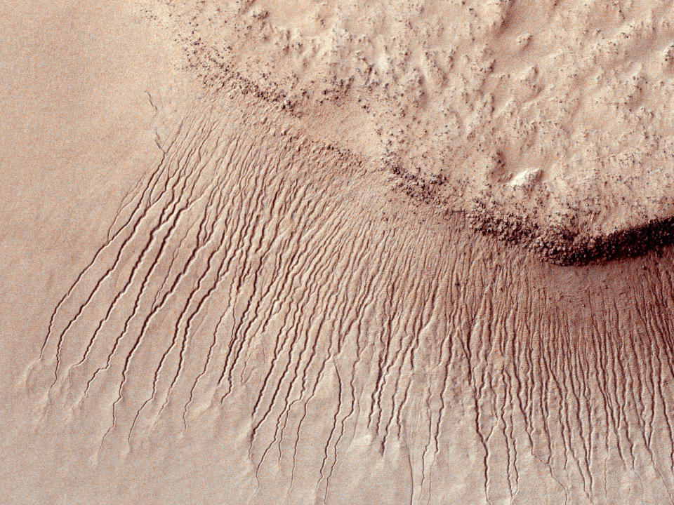 The surface of Mars